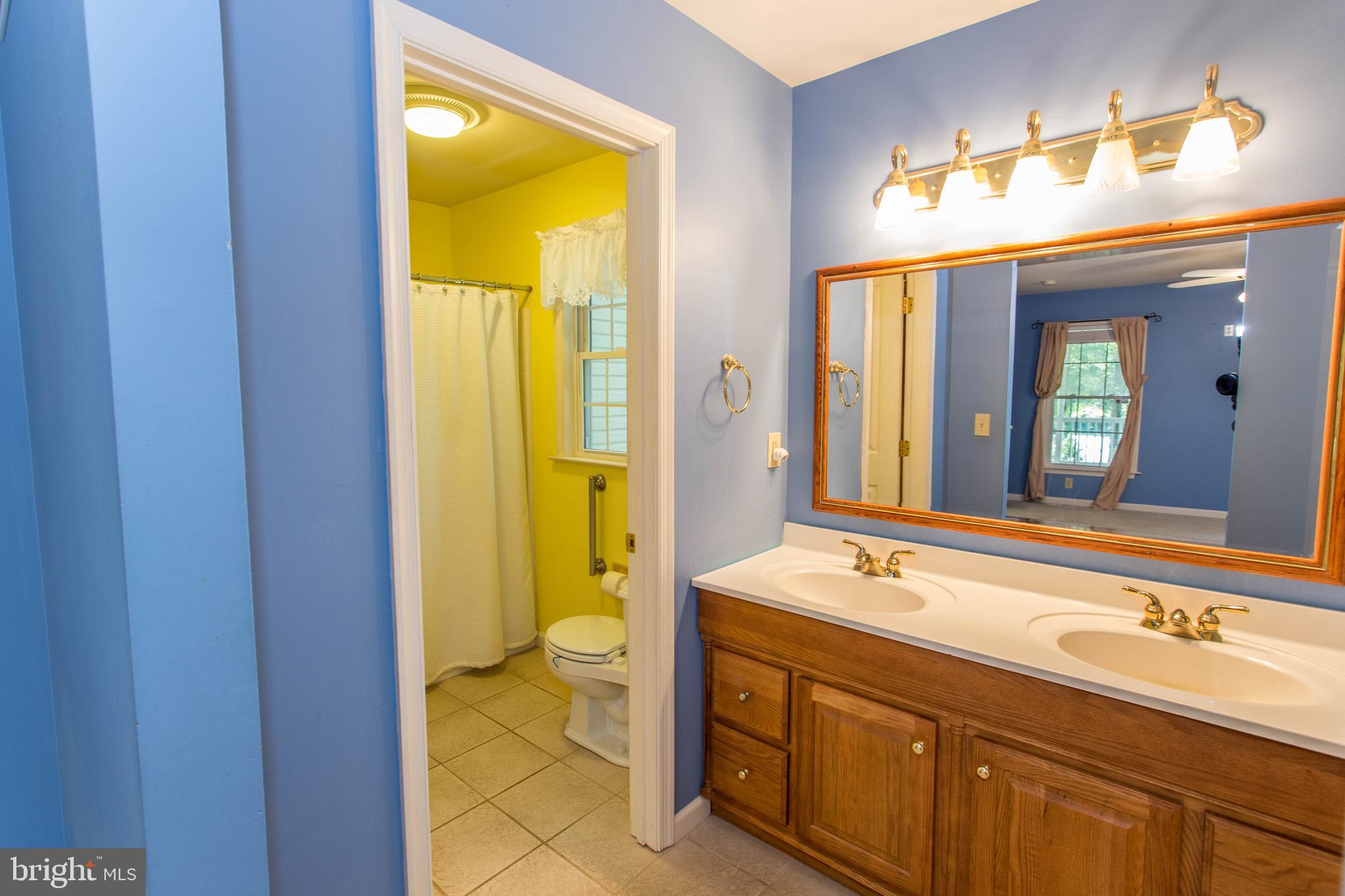 22175 Wilson Road Georgetown, DE 19947 - Photo 28 of 38 first floor owner bath with walk in closet