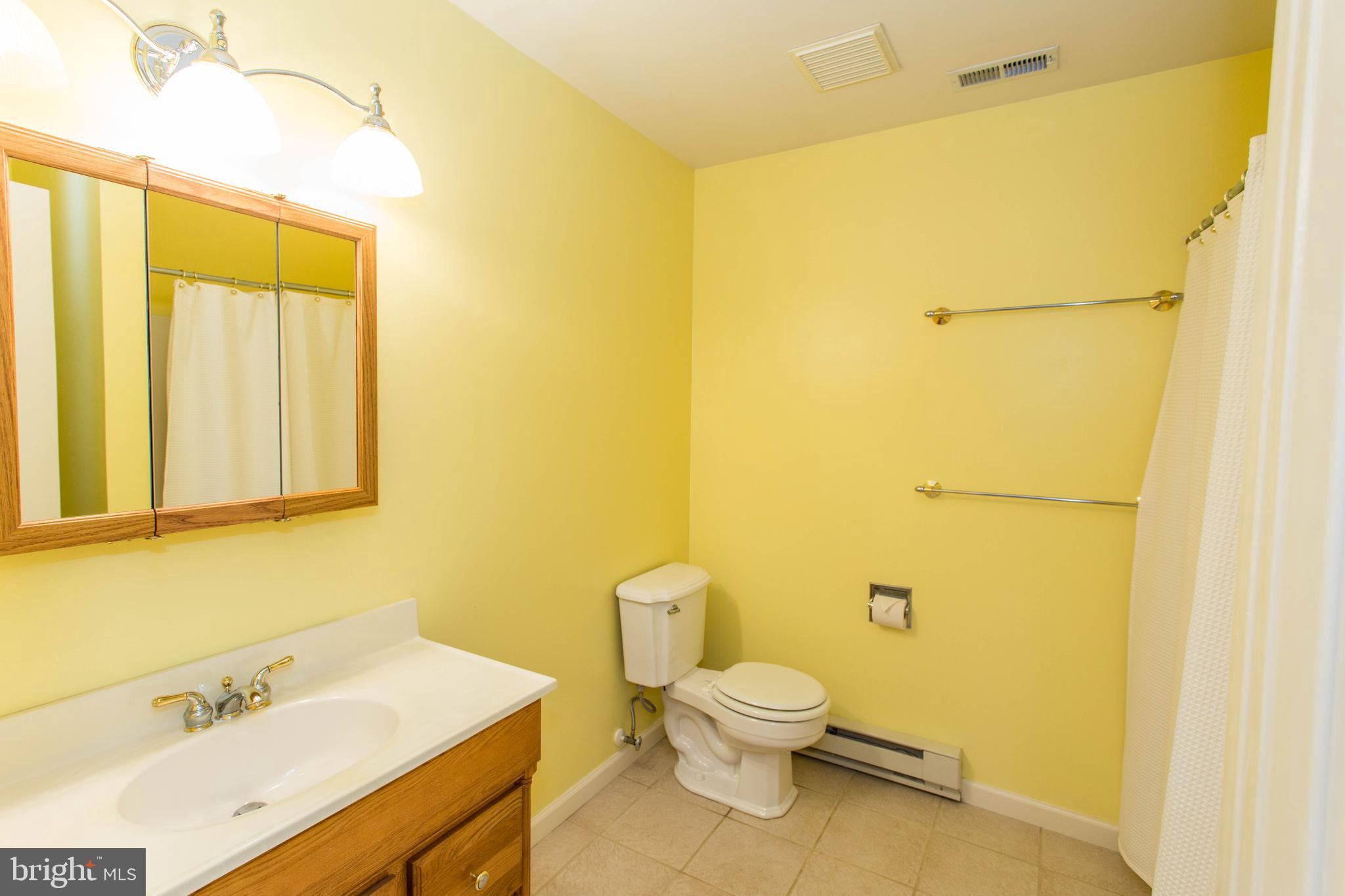22175 Wilson Road Georgetown, DE 19947 - Photo 30 of 38 2nd floor hall bath