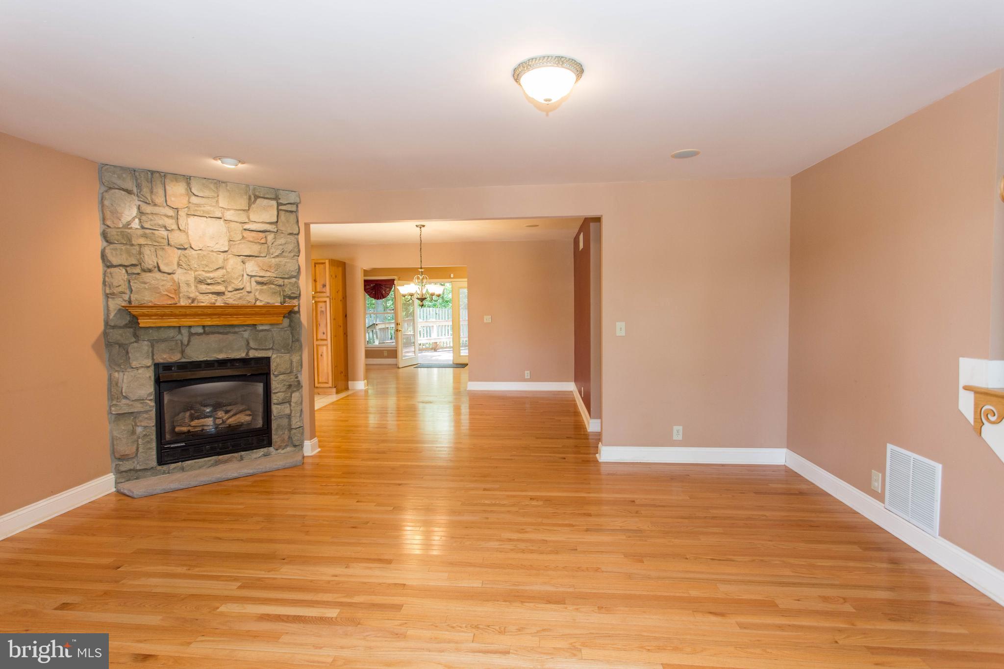 22175 Wilson Road Georgetown, DE 19947 - Photo 7 of 38 front entry, formal living room with gas fireplace