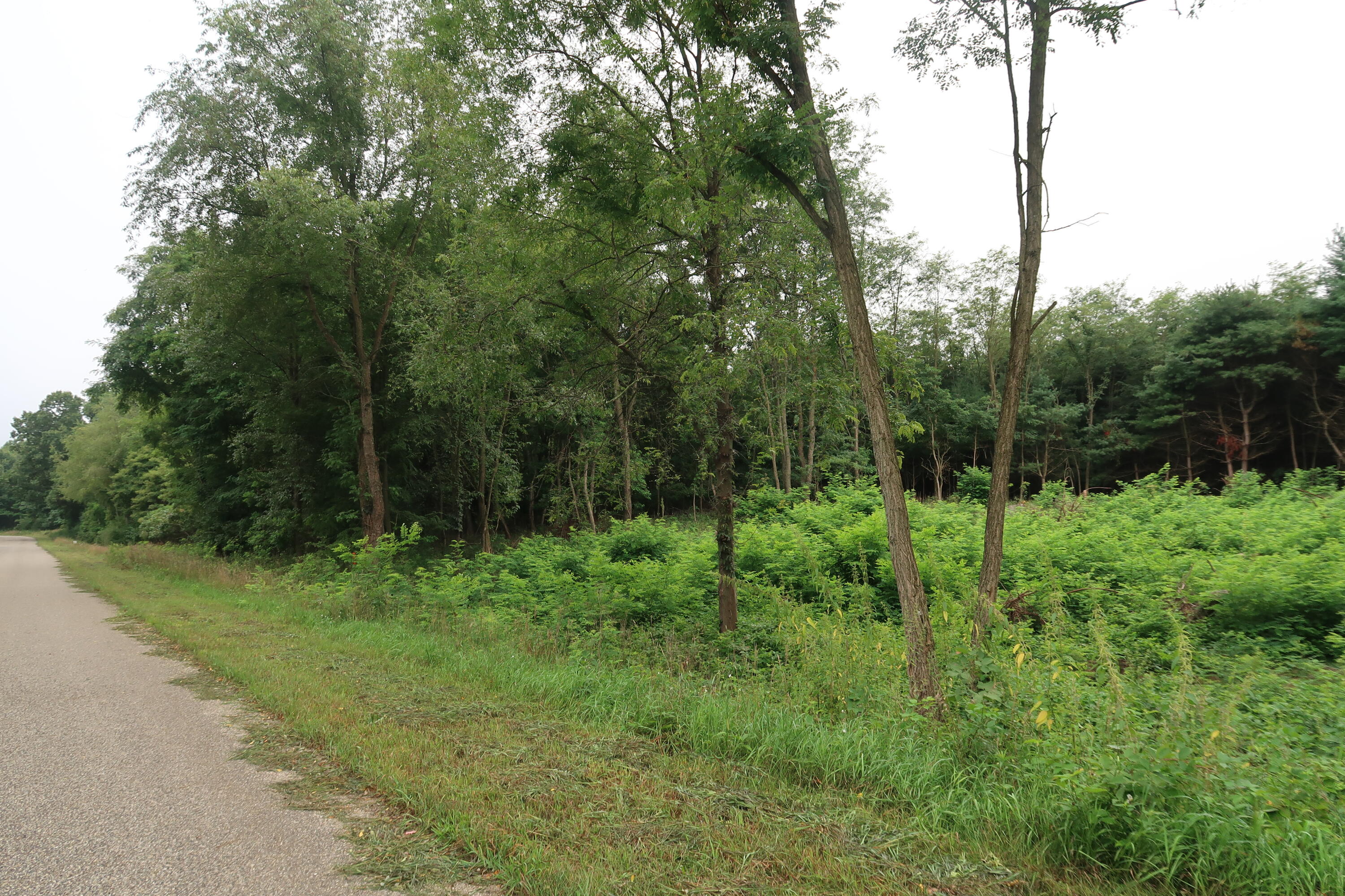 2 Highfield Road Three Rivers, MI 49093 - Photo 2 of 15 Side View of Lot