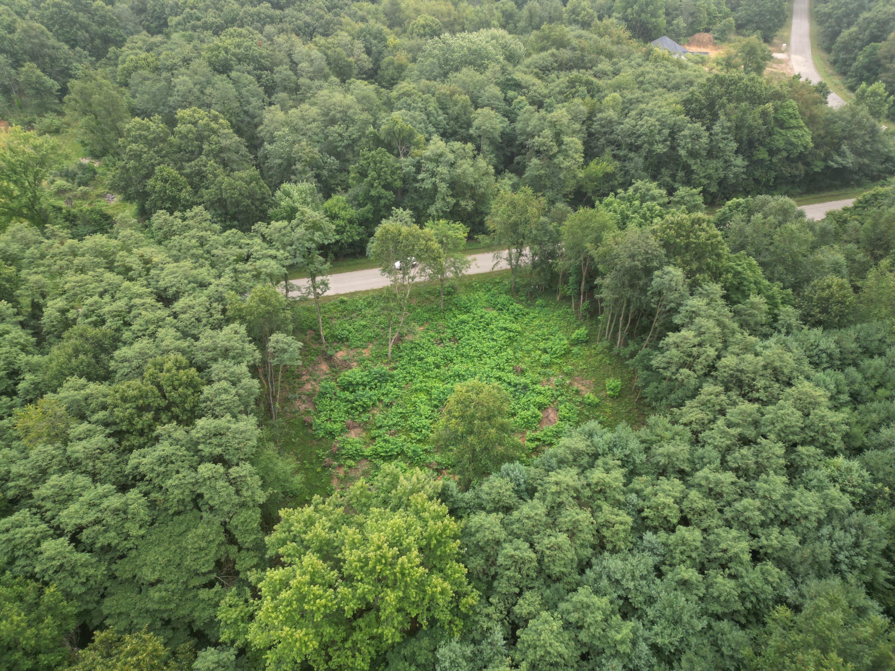 2 Highfield Road Three Rivers, MI 49093 - Photo 4 of 15 Aerial Photo