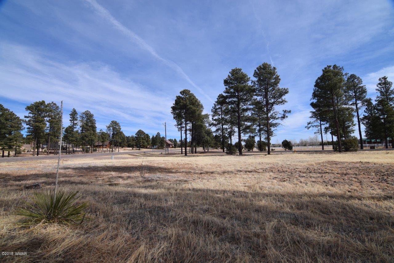 2738 State Route 260 Overgaard, AZ 85933 - Photo 11 of 13