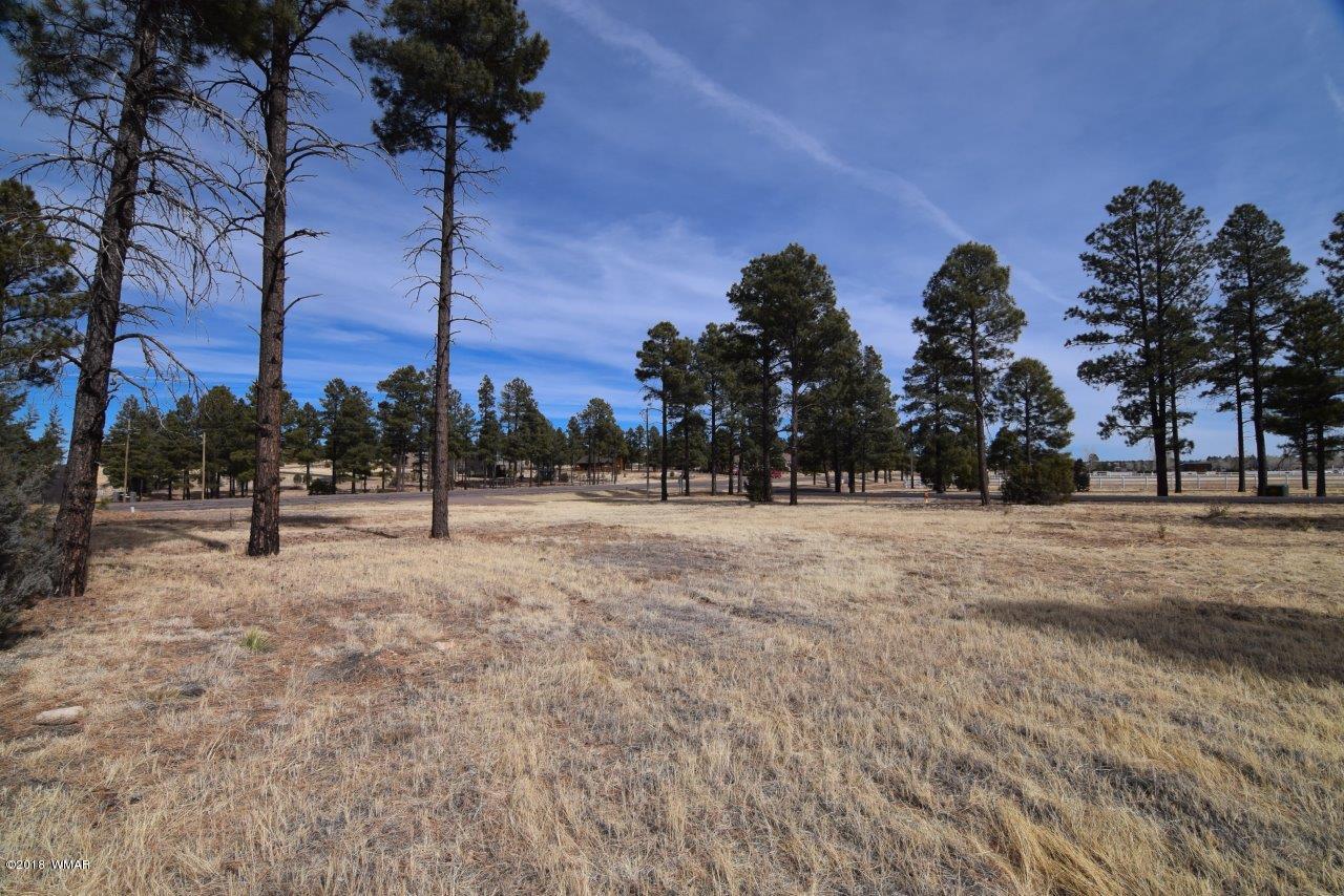 2738 State Route 260 Overgaard, AZ 85933 - Photo 12 of 13