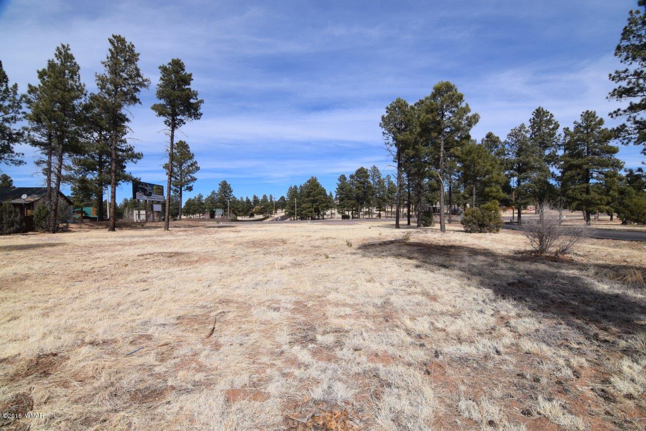 2738 State Route 260 Overgaard, AZ 85933 - Photo 13 of 13