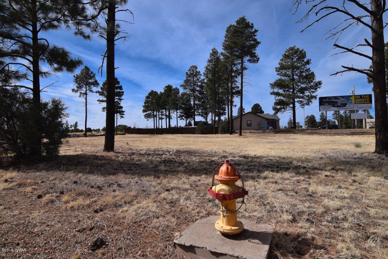 2738 State Route 260 Overgaard, AZ 85933 - Photo 3 of 13