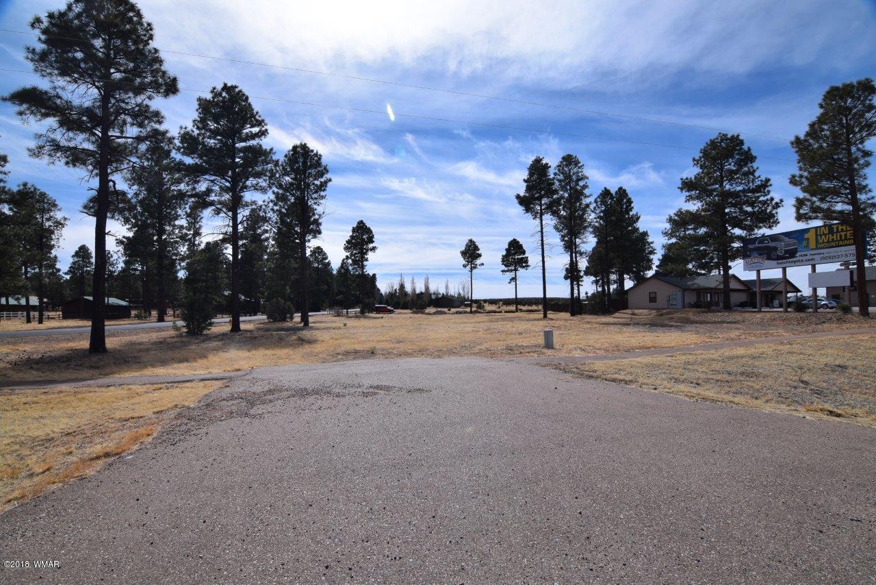 2738 State Route 260 Overgaard, AZ 85933 - Photo 4 of 13