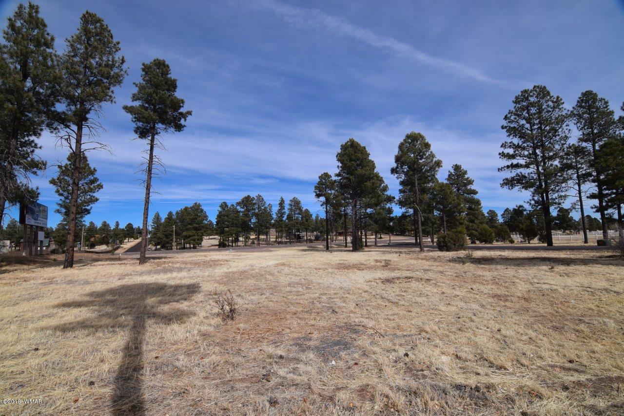 2738 State Route 260 Overgaard, AZ 85933 - Photo 5 of 13