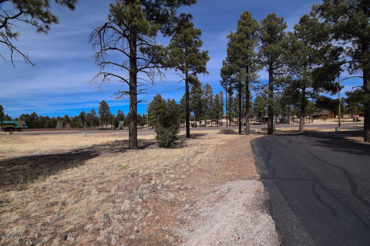 2738 State Route 260 Overgaard, AZ 85933 - Photo 6 of 13