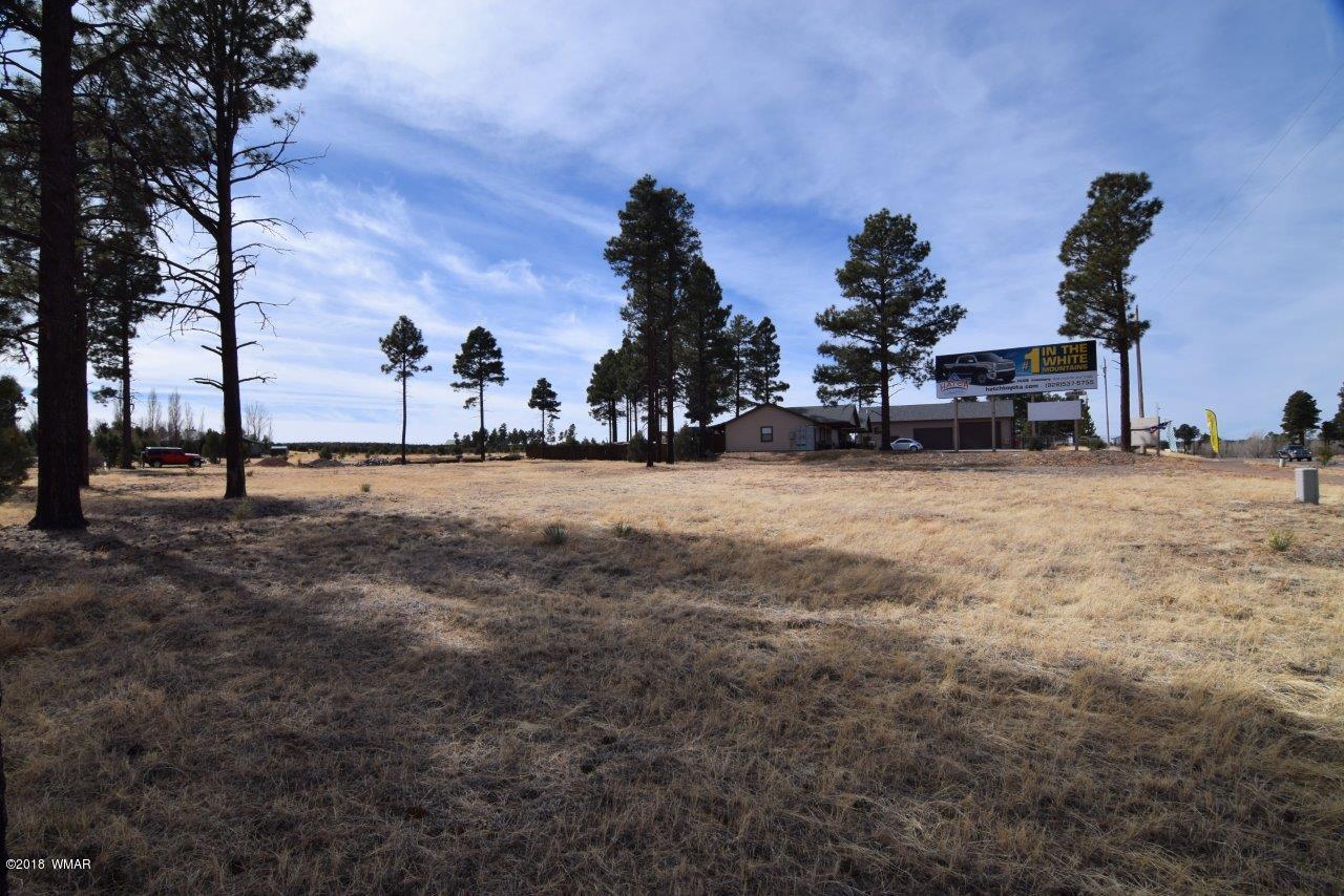 2738 State Route 260 Overgaard, AZ 85933 - Photo 8 of 13