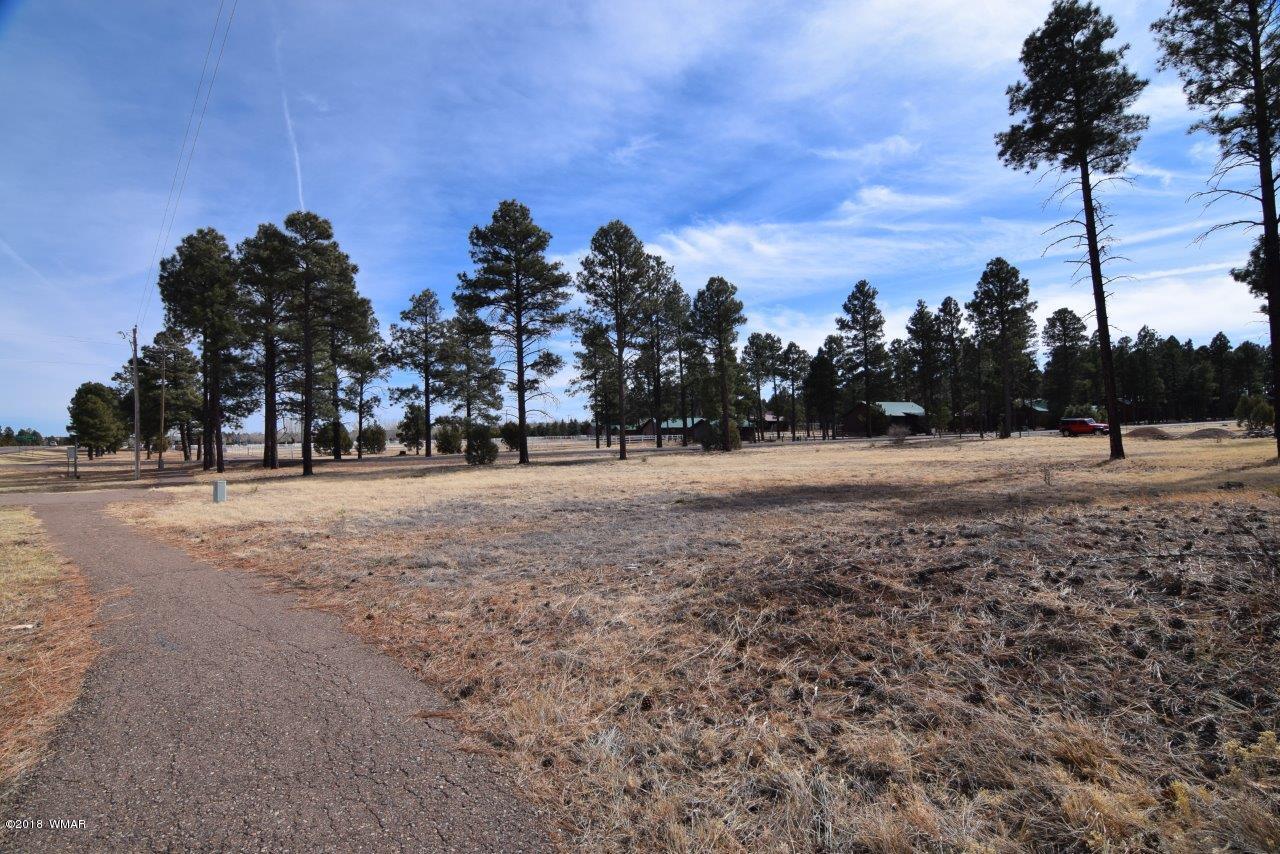 2738 State Route 260 Overgaard, AZ 85933 - Photo 9 of 13