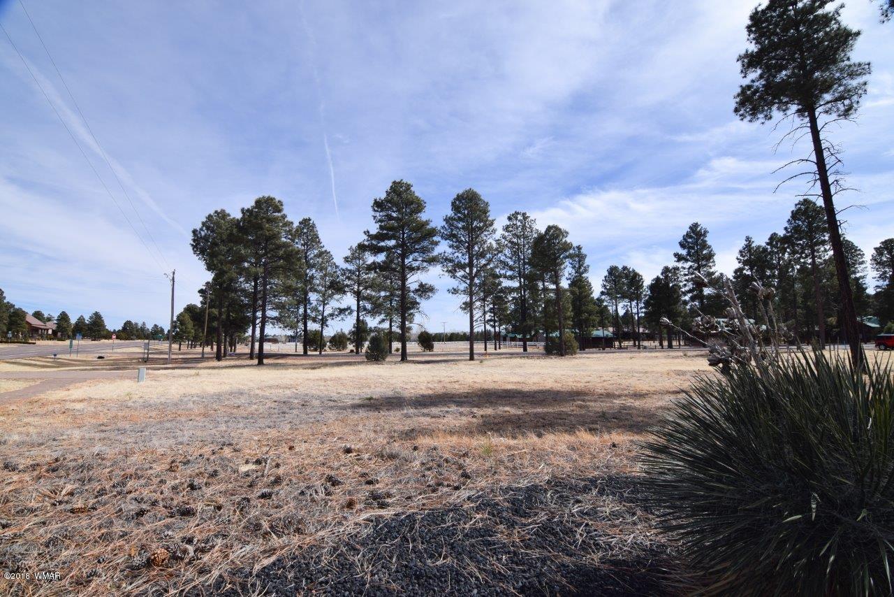2738 State Route 260 Overgaard, AZ 85933 - Photo 10 of 13