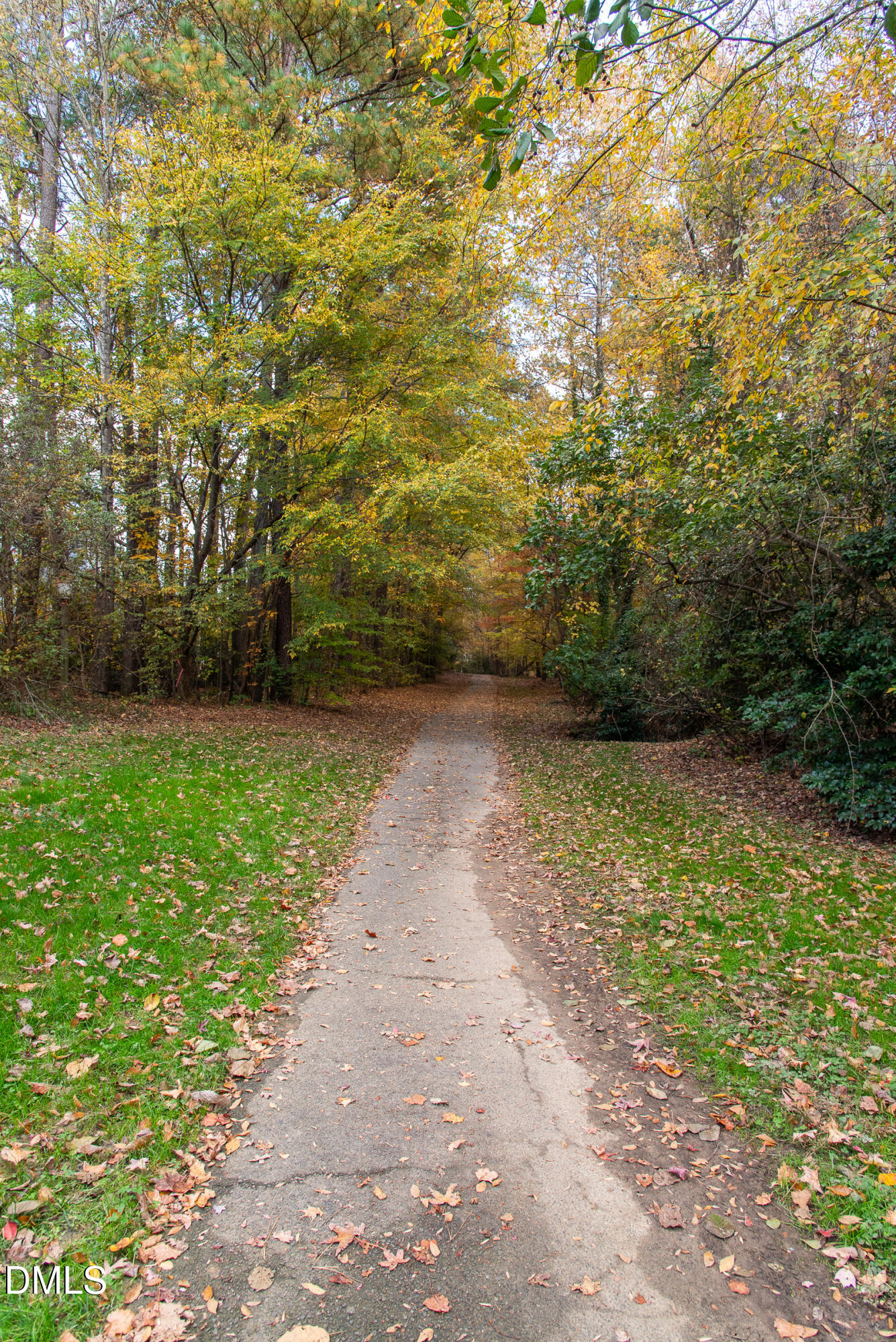 6004 Eaglesfield Drive Raleigh, NC 27613 - Photo 61 of 65 eaglesfield-6226