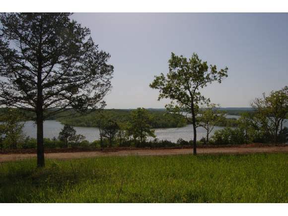 Lot 13 Cedar Bend Shell Knob, MO 65747 - Photo 1 of 1 Primary Photo