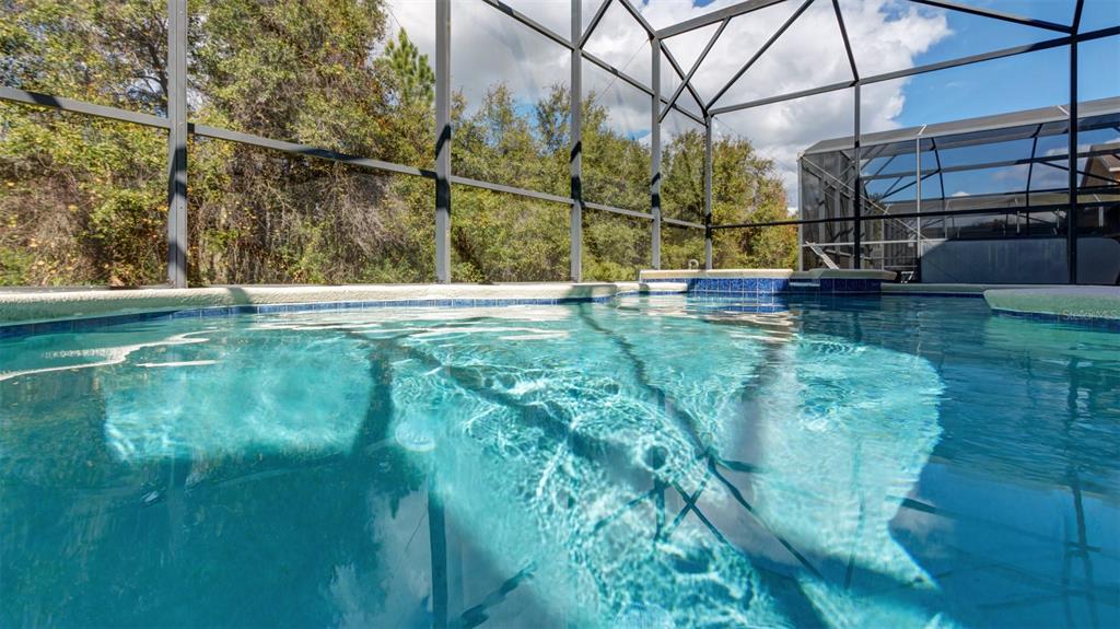 1369 Royal Ridge Drive Davenport, FL 33896 - Photo 15 of 59