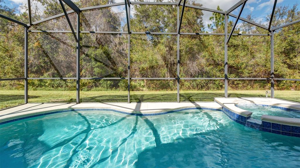 1369 Royal Ridge Drive Davenport, FL 33896 - Photo 17 of 59