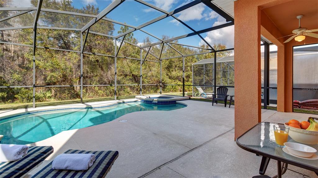 1369 Royal Ridge Drive Davenport, FL 33896 - Photo 19 of 59