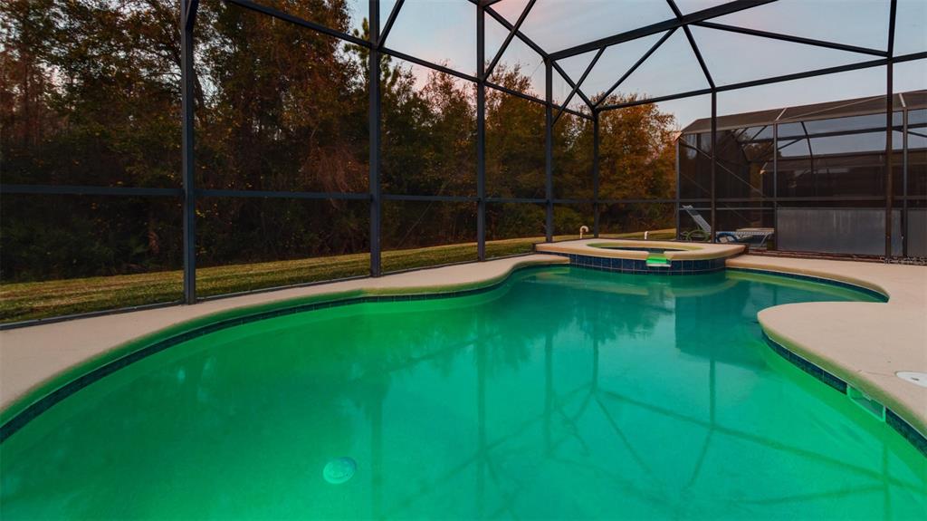 1369 Royal Ridge Drive Davenport, FL 33896 - Photo 54 of 59