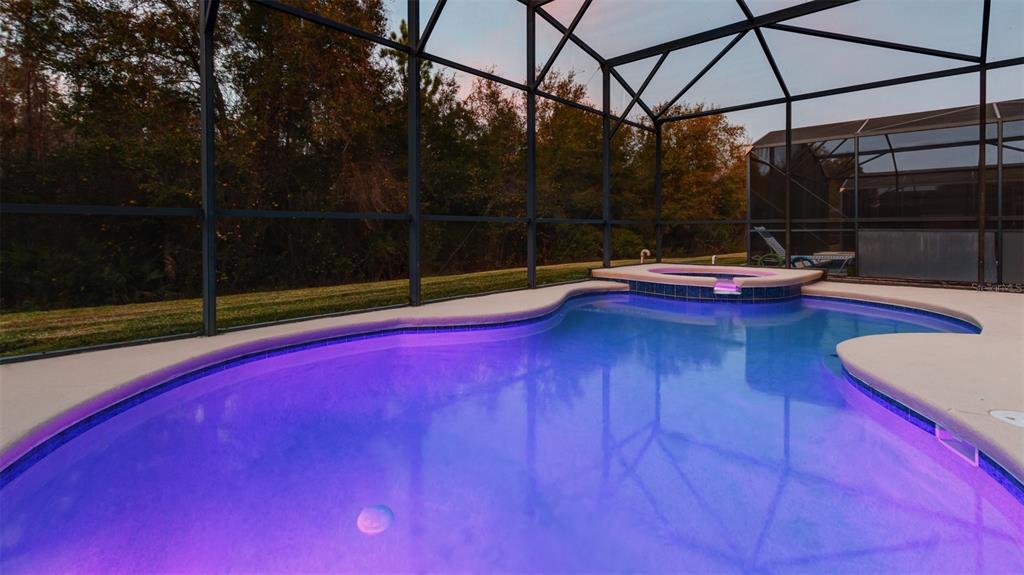 1369 Royal Ridge Drive Davenport, FL 33896 - Photo 55 of 59
