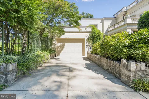 a view of a yard with plants and large trees