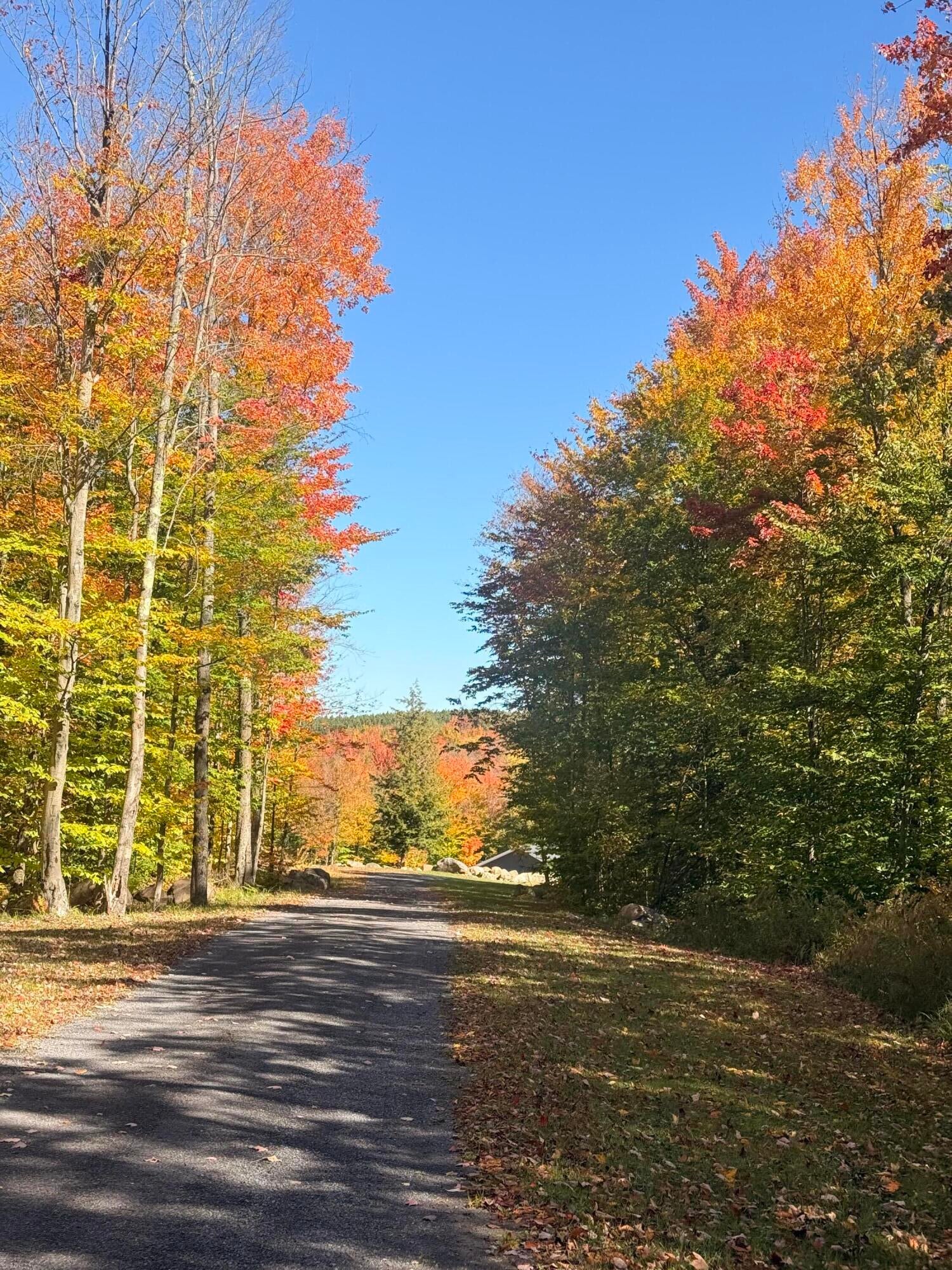 58 Hewitt Road St. Regis Falls, NY 12980 - Photo 134 of 139 Gallery Image 134