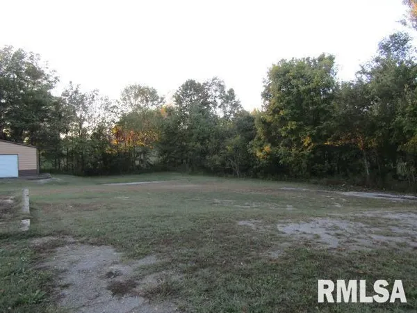 a view of a yard with a tree