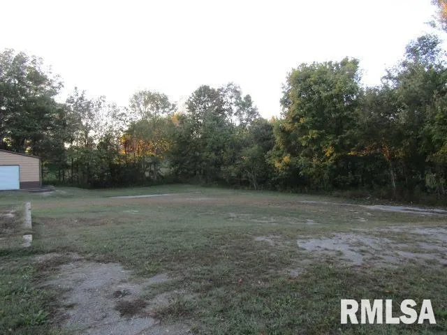 a view of a yard with a tree