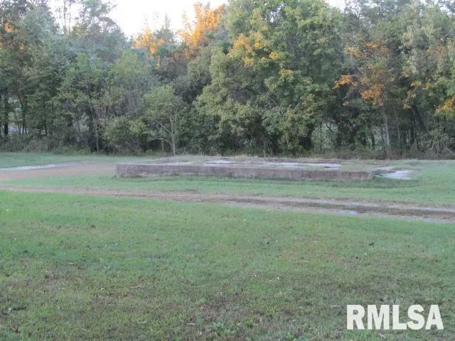 a view of outdoor space with trees all around