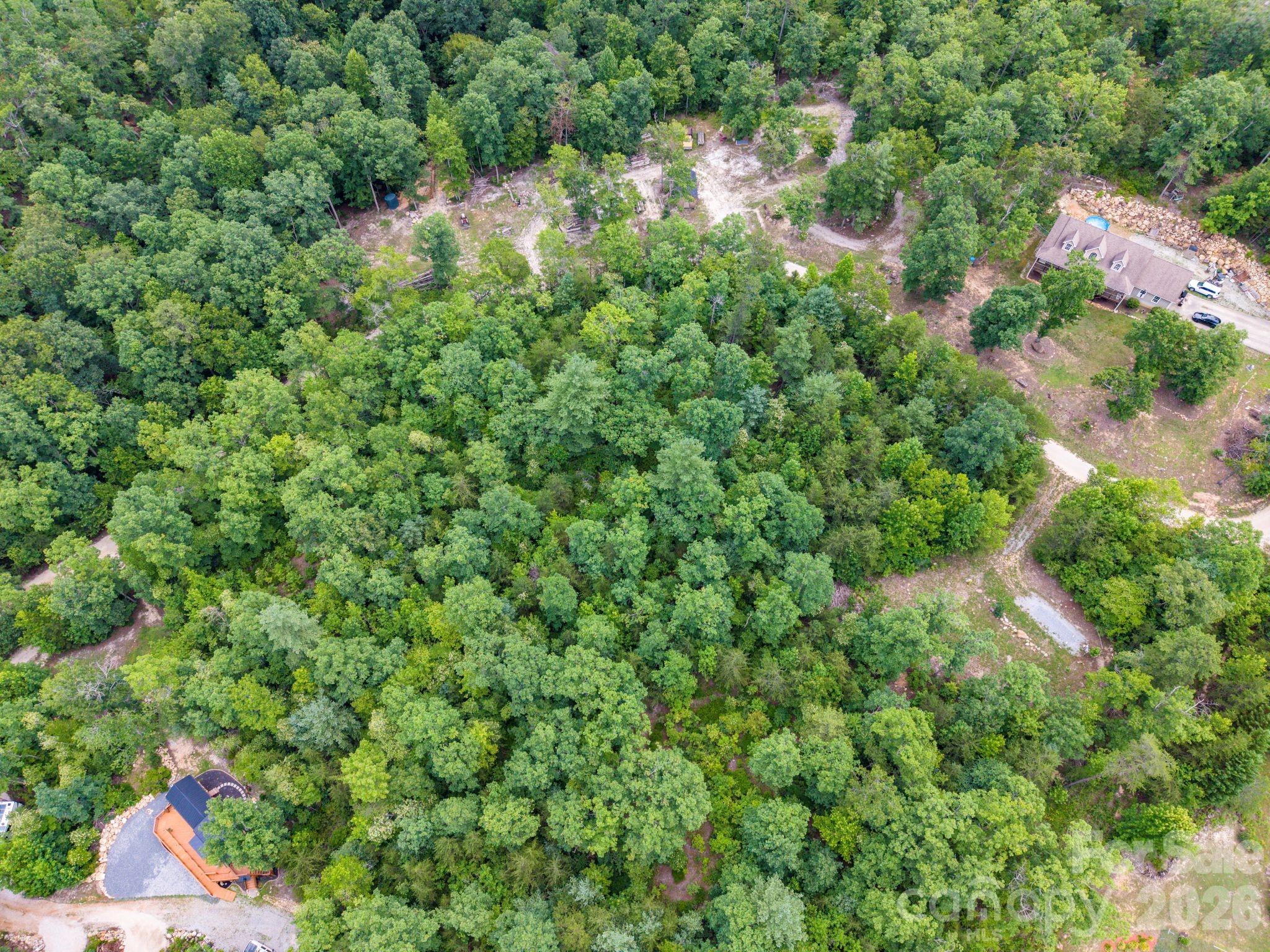 6 Dobsons Knob Loop Road Marion, NC 28752 - Photo 7 of 14