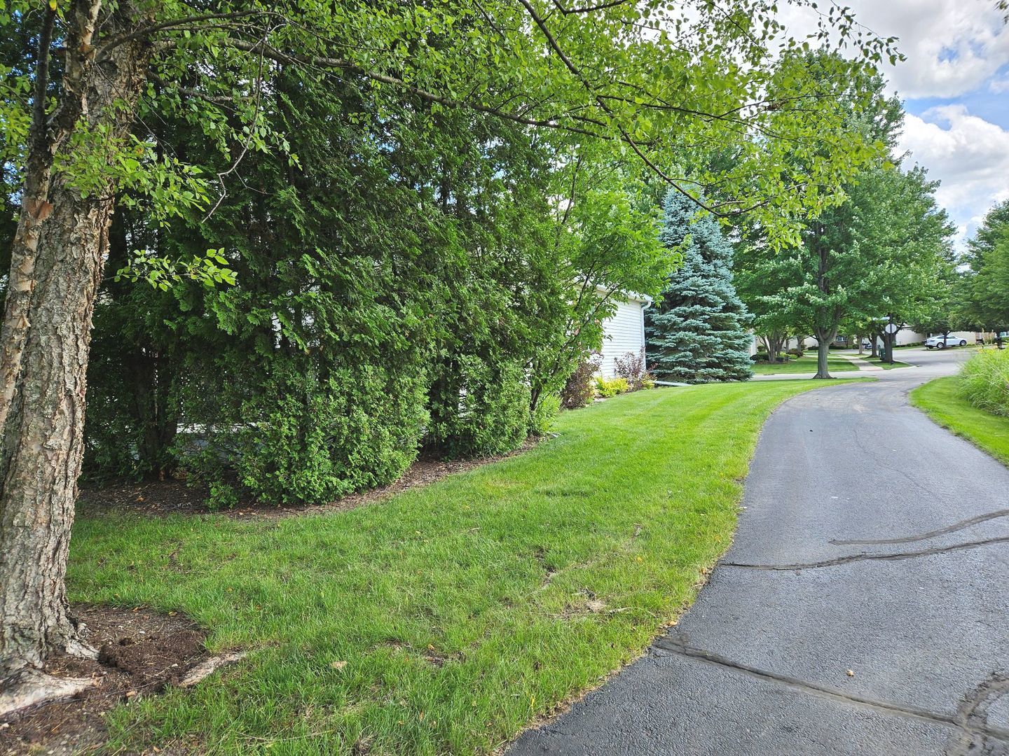 1526 Benzie Circle Romeoville, IL 60446 - Photo 27 of 31