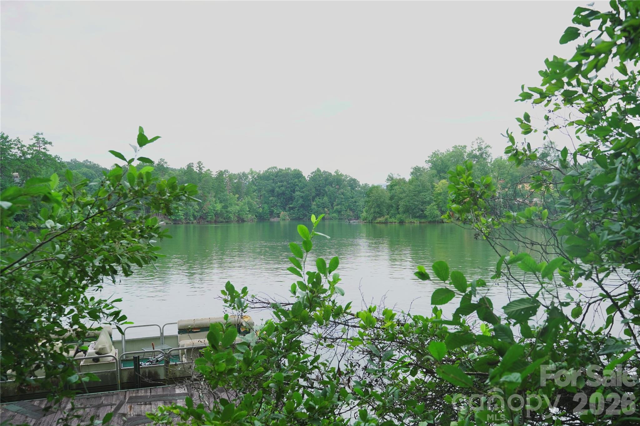 3 South Pointe Road Mill Spring, NC 28756 - Photo 2 of 10 Gallery Image 2