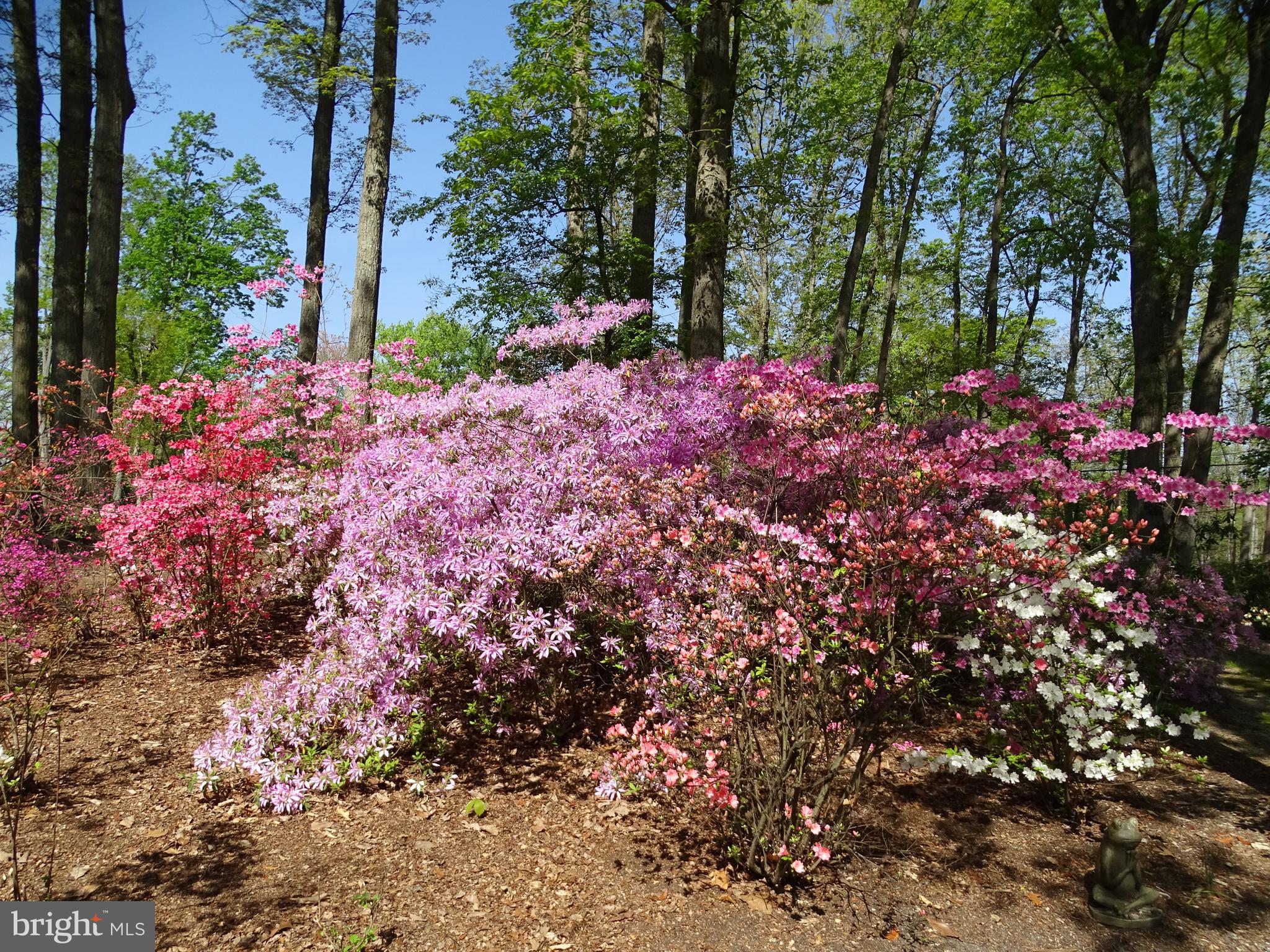 116 Sherwin Road Mullica Hill, NJ 08062 - Photo 28 of 36 Gallery Image 28