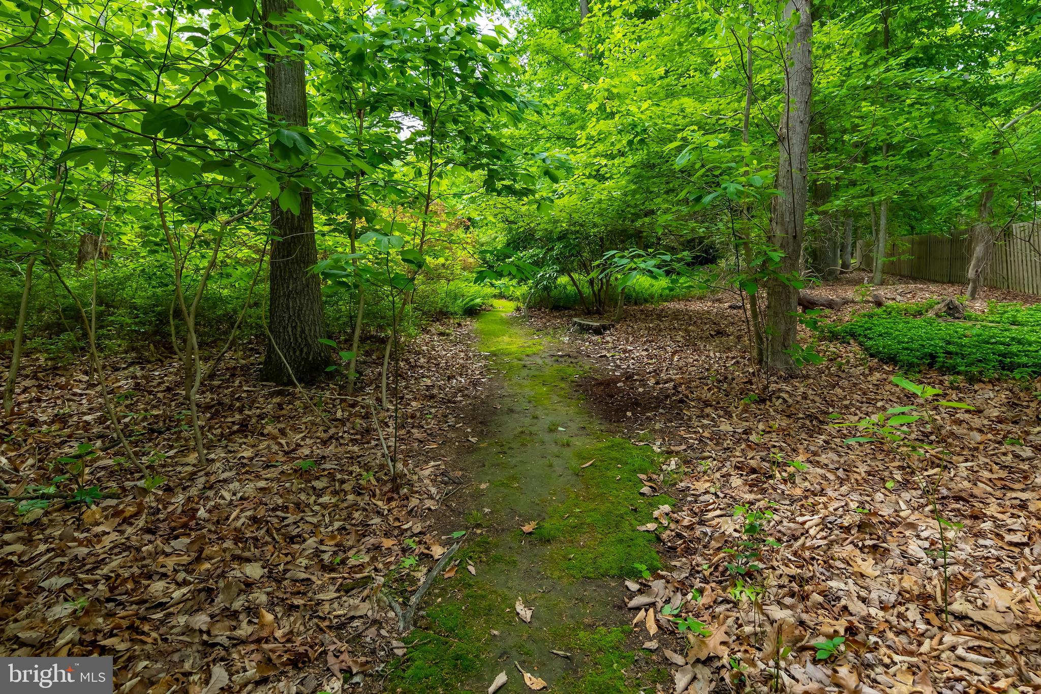 116 Sherwin Road Mullica Hill, NJ 08062 - Photo 29 of 36 Walking paths