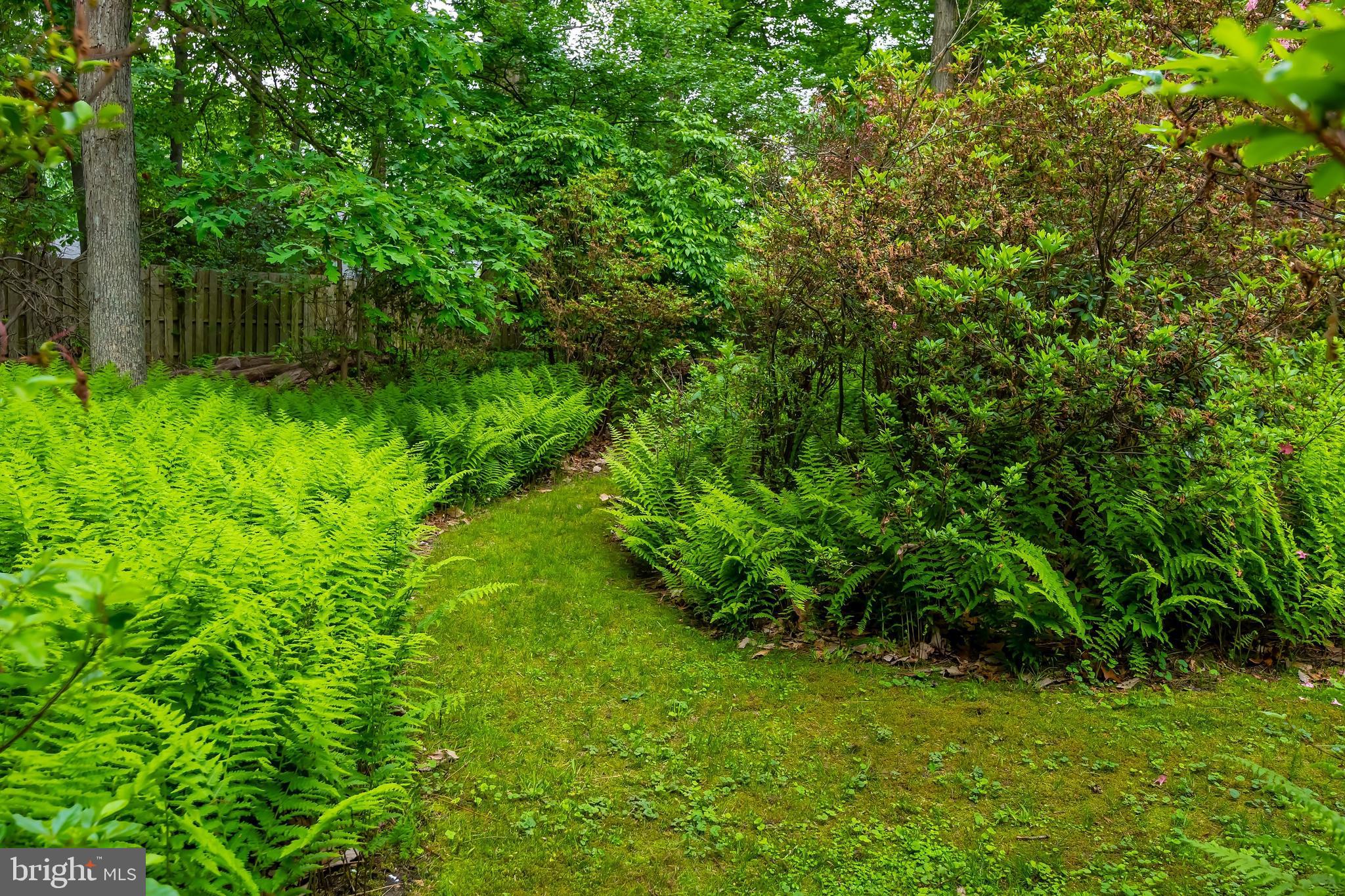 116 Sherwin Road Mullica Hill, NJ 08062 - Photo 34 of 36 Gallery Image 34