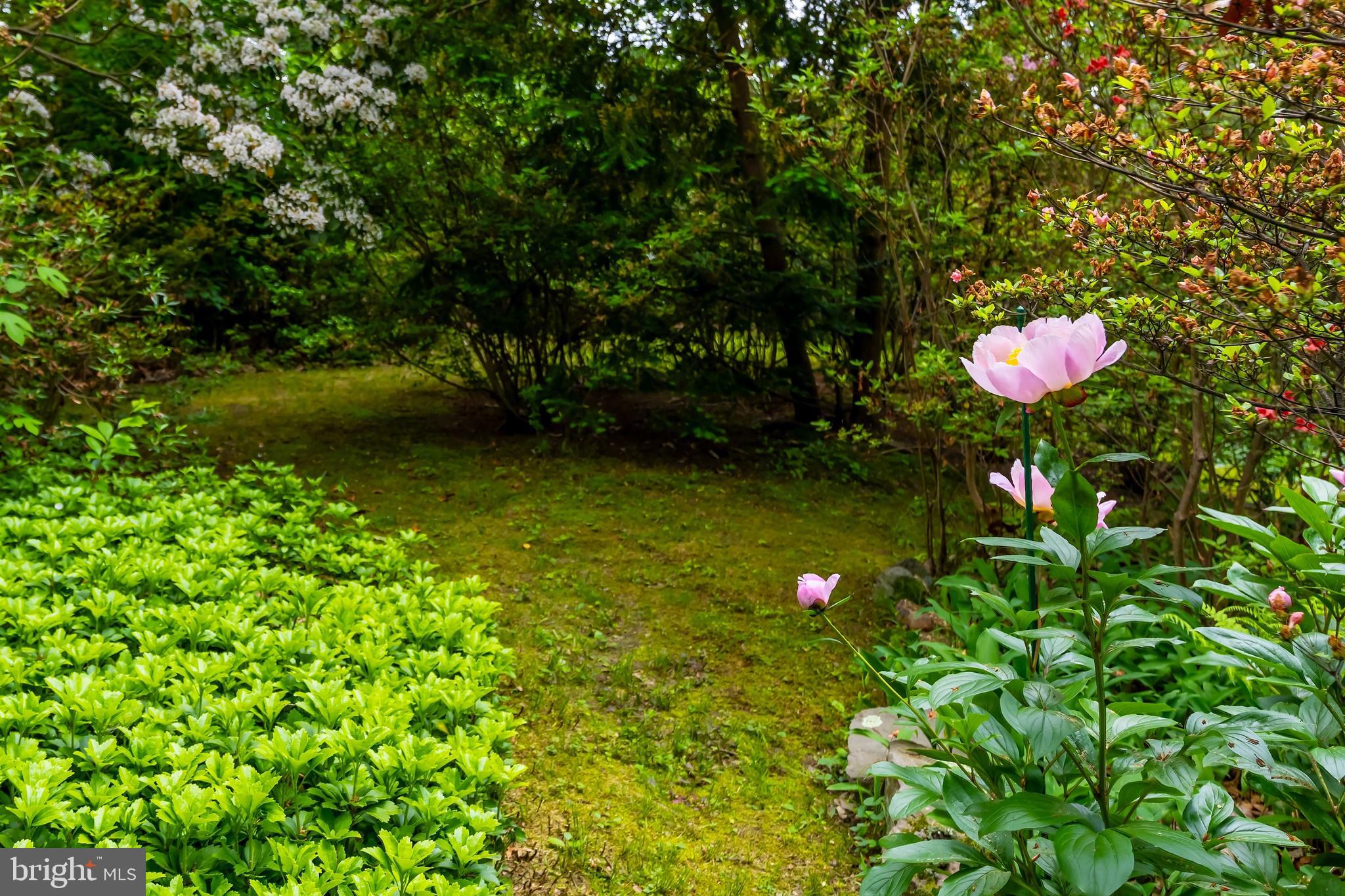 116 Sherwin Road Mullica Hill, NJ 08062 - Photo 35 of 36 Gallery Image 35
