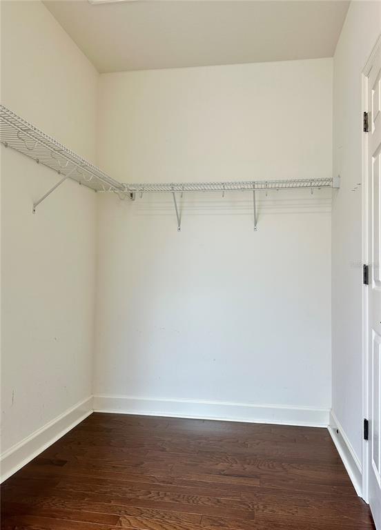 6157 Castleton Hollow Road Riverview, FL 33578 - Photo 23 of 45