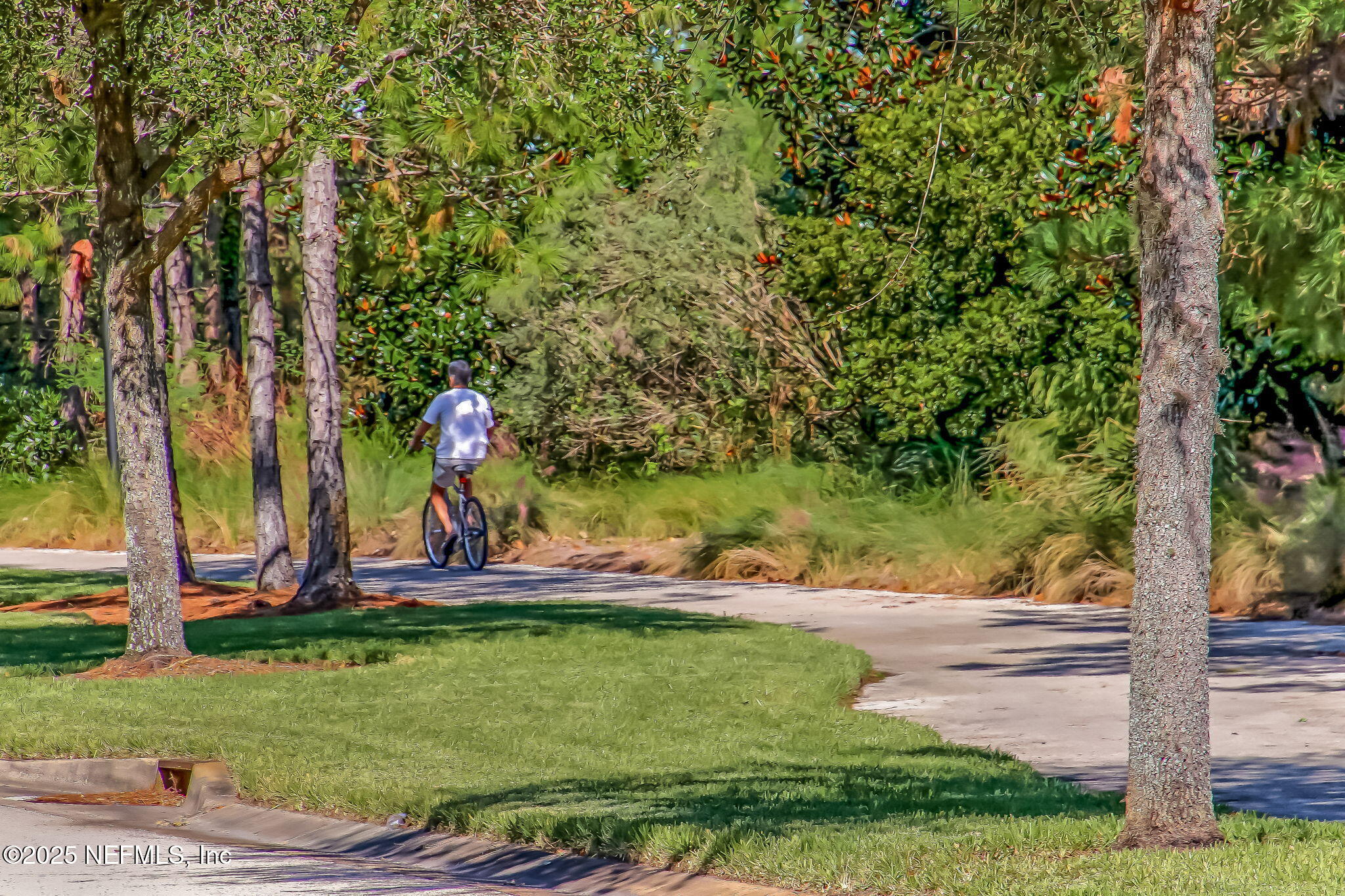 195 Oleta Way St. Augustine, FL 32095 - Photo 109 of 123 111-web-or-mls-Palencia_61