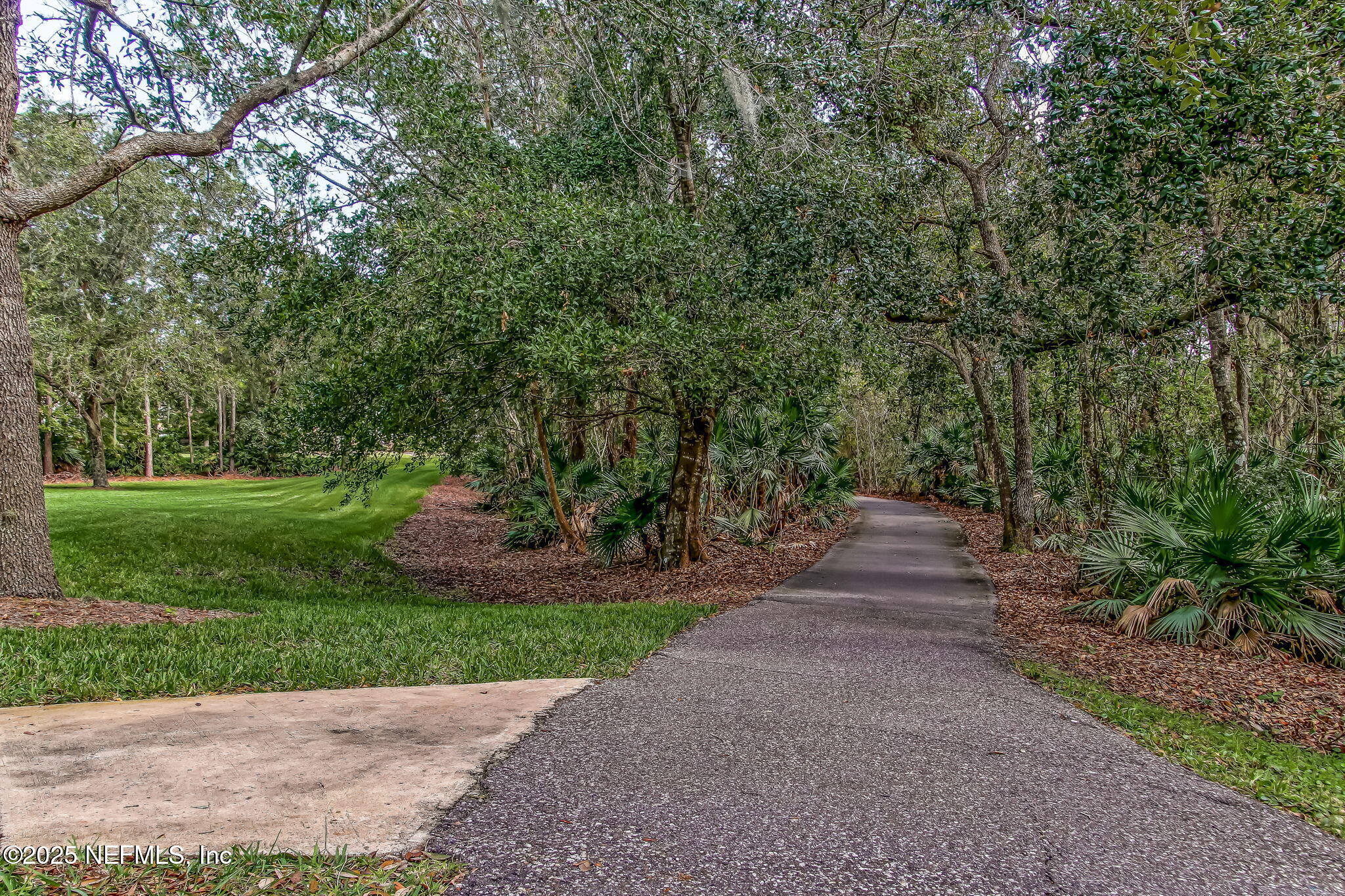 195 Oleta Way St. Augustine, FL 32095 - Photo 110 of 123 112-web-or-mls-Palencia_62