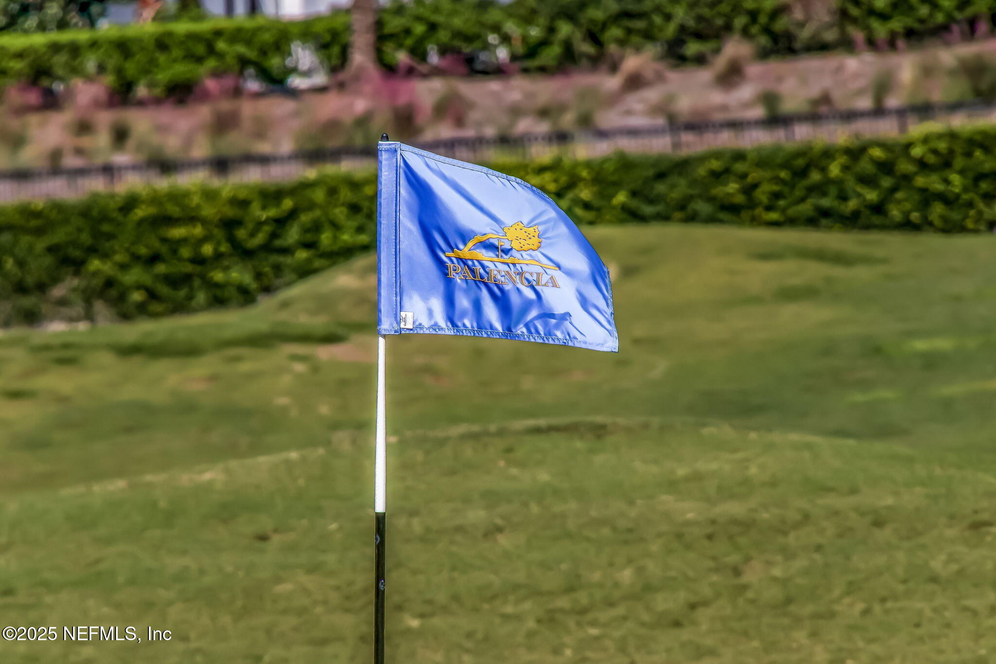 195 Oleta Way St. Augustine, FL 32095 - Photo 68 of 123 70-web-or-mls-Palencia_18