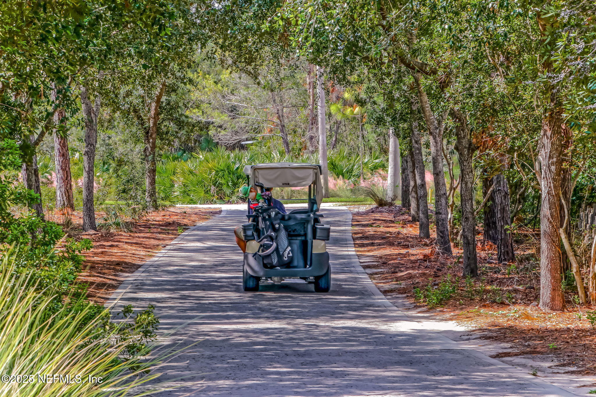 195 Oleta Way St. Augustine, FL 32095 - Photo 69 of 123 71-web-or-mls-Palencia_19