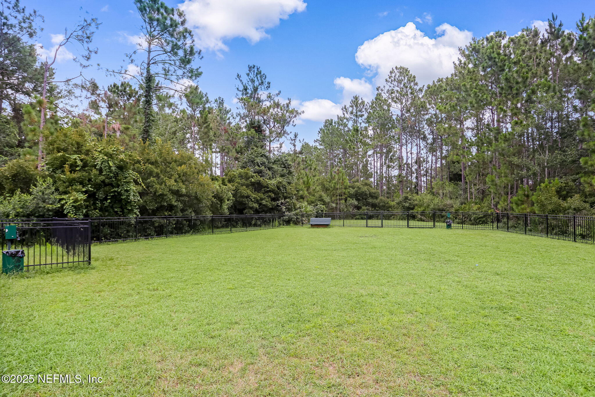 195 Oleta Way St. Augustine, FL 32095 - Photo 83 of 123 85-web-or-mls-Palencia_35