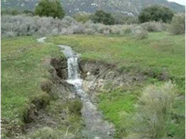 160 Historic Ranch Boulevard, CA 91905 - Photo 2 of 12 a view of a lush green forest with lots of trees