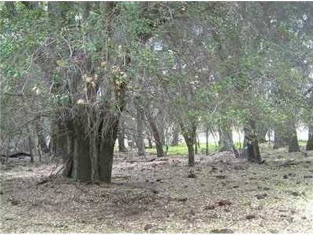 160 Historic Ranch Boulevard, CA 91905 - Photo 3 of 12 a view of outdoor space with lots of trees