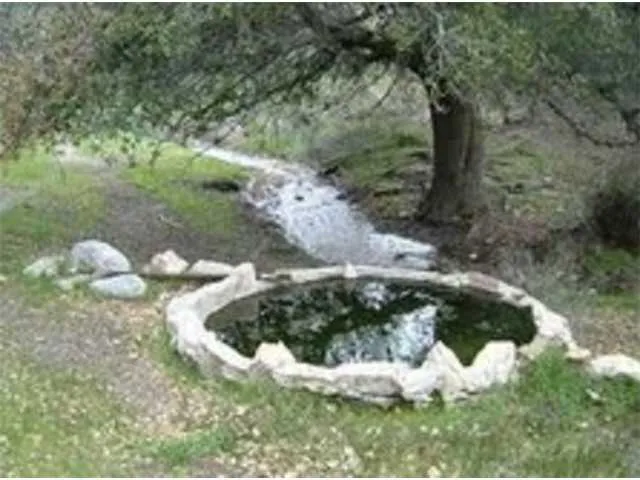 a view of a small pond with green space