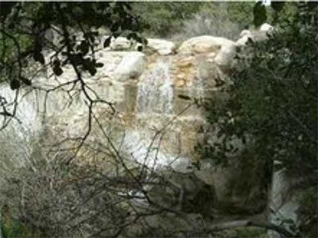 160 Historic Ranch Boulevard, CA 91905 - Photo 7 of 12 a view of a tree in a yard