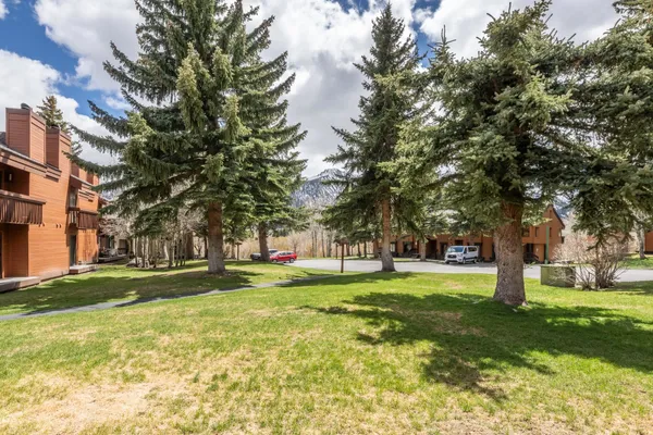 a view of a park with large trees
