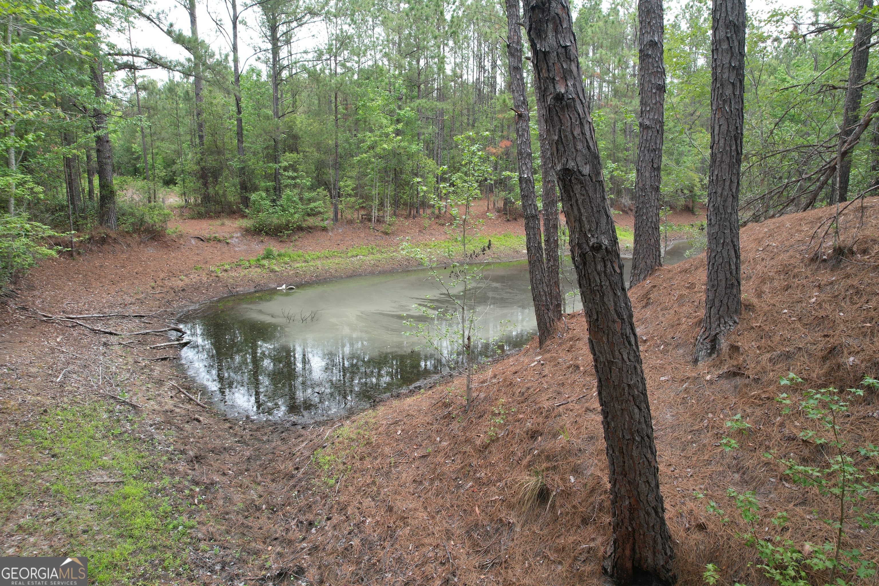 1.5-acres Mt Pleasant Road Clyo, GA 31303 - Photo 13 of 19