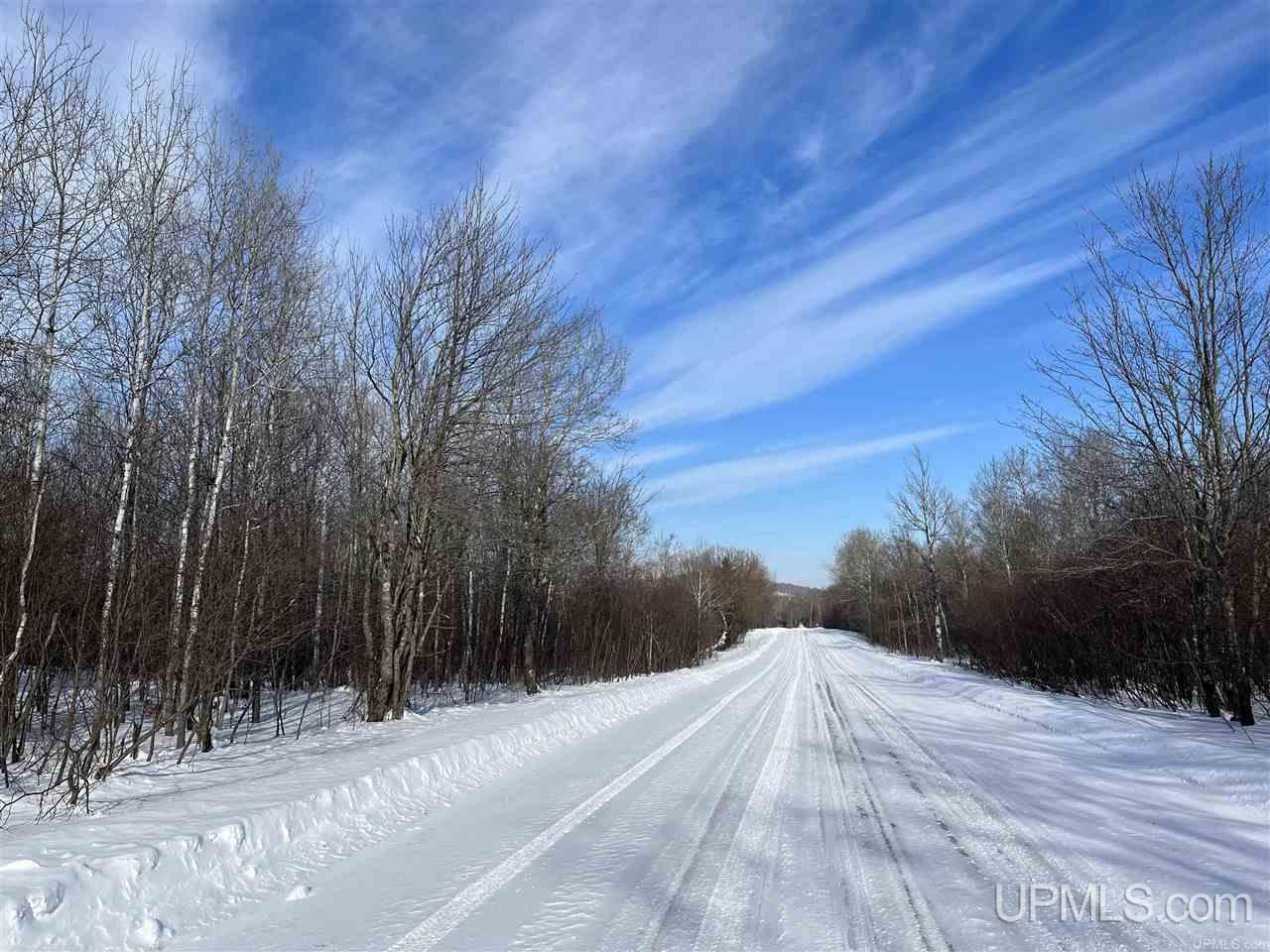 Tbd Harding Road Bessemer, MI 49911 - Photo 3 of 21