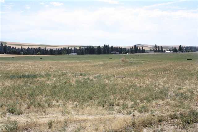 15930 West Silver Lake Road Cheney, WA 99004 - Photo 1 of 9 Gallery Image 1