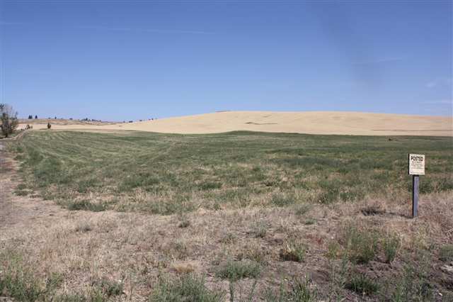 15930 West Silver Lake Road Cheney, WA 99004 - Photo 2 of 9 Gallery Image 2