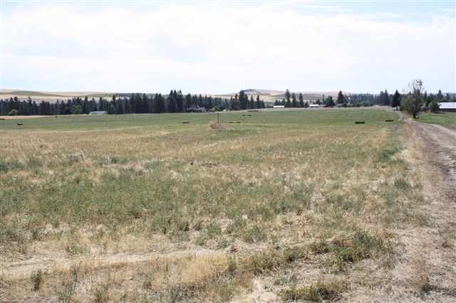 15930 West Silver Lake Road Cheney, WA 99004 - Photo 4 of 9 Gallery Image 4